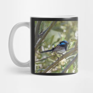 Blue Wren Mug